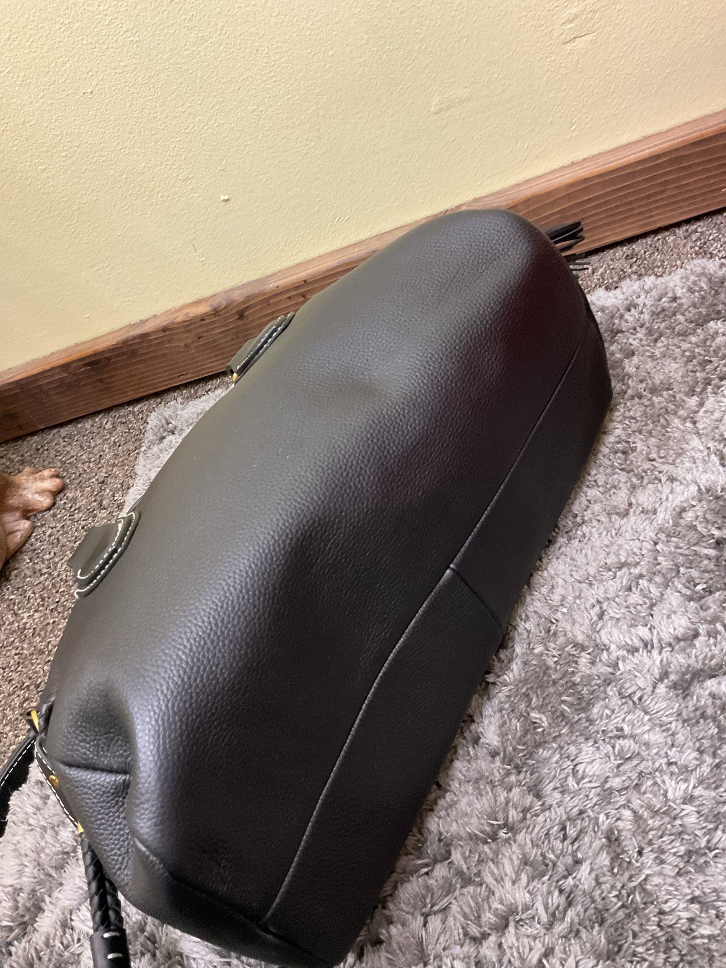 Vince Camuto Backpack
