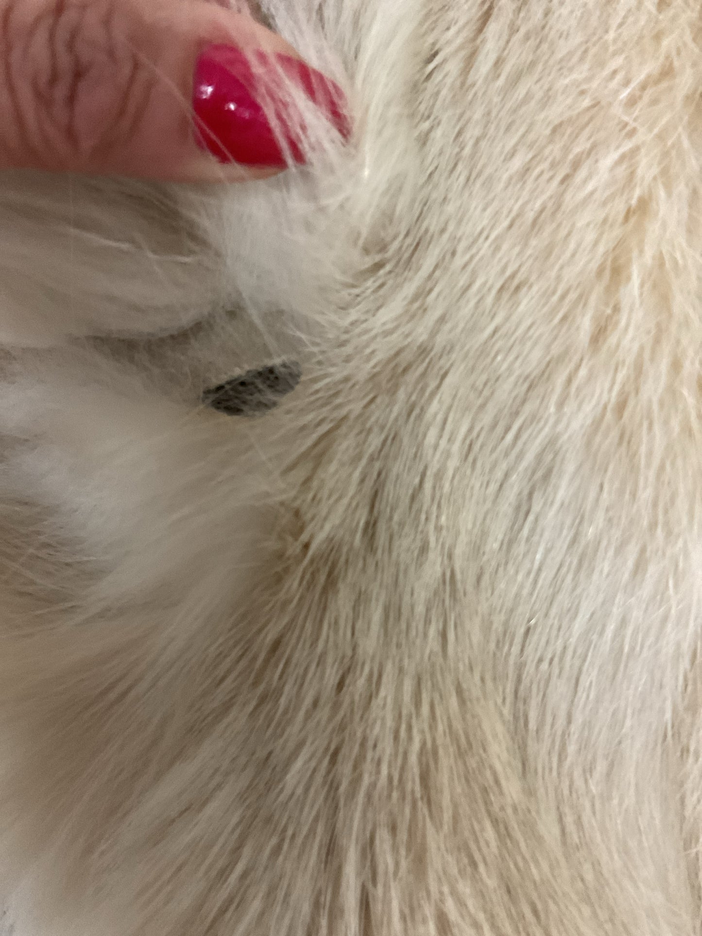Ribnick Size M White Coat fox fur