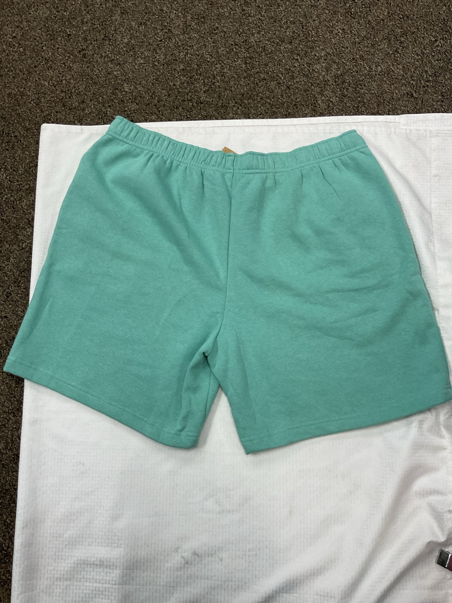 The North Face Size XXL Wasabi Shorts Never Stop NWT