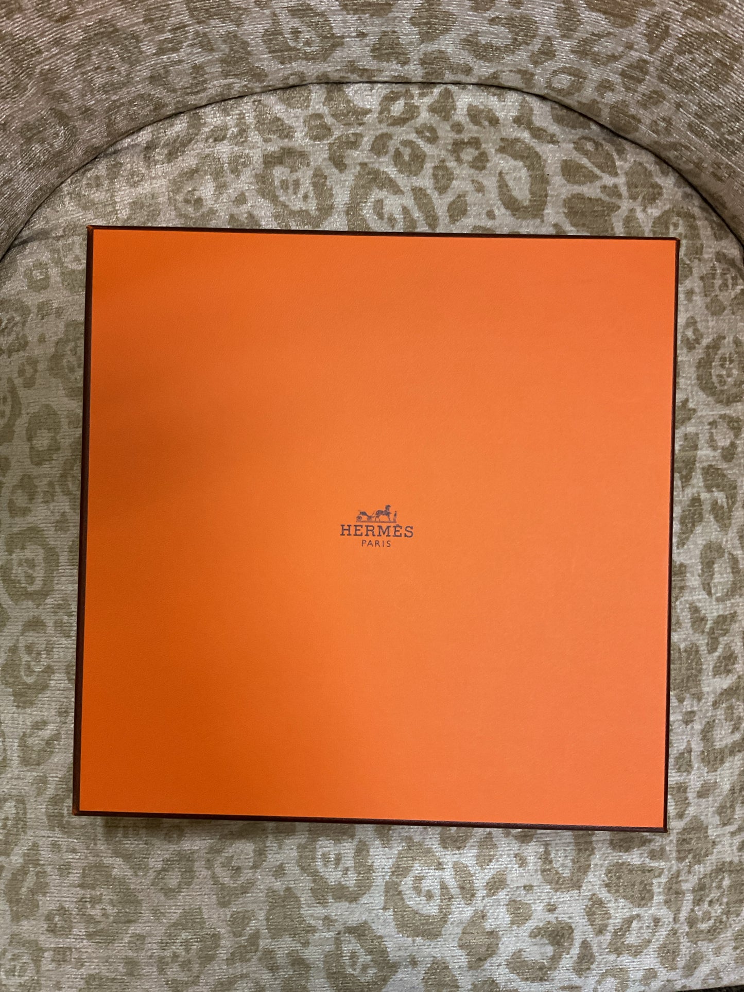 Hermes Scarf Faune Letree NWT new in box light blue
