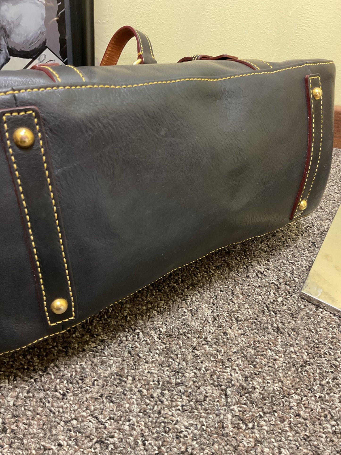 Dooney & Bourke Purse double strap tassel satchel NWT