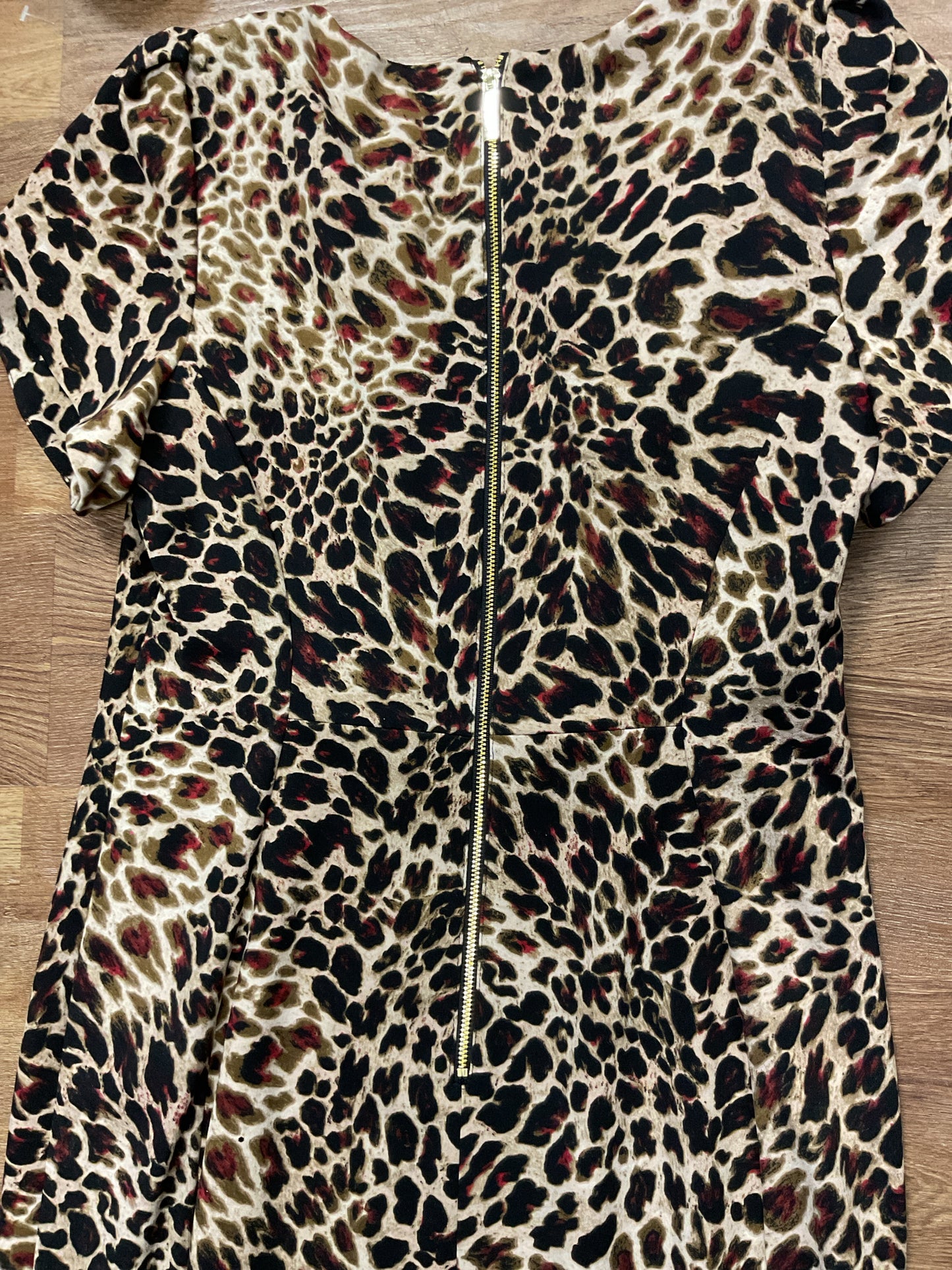 Calvin Klein Size 10 Leopard Dress
