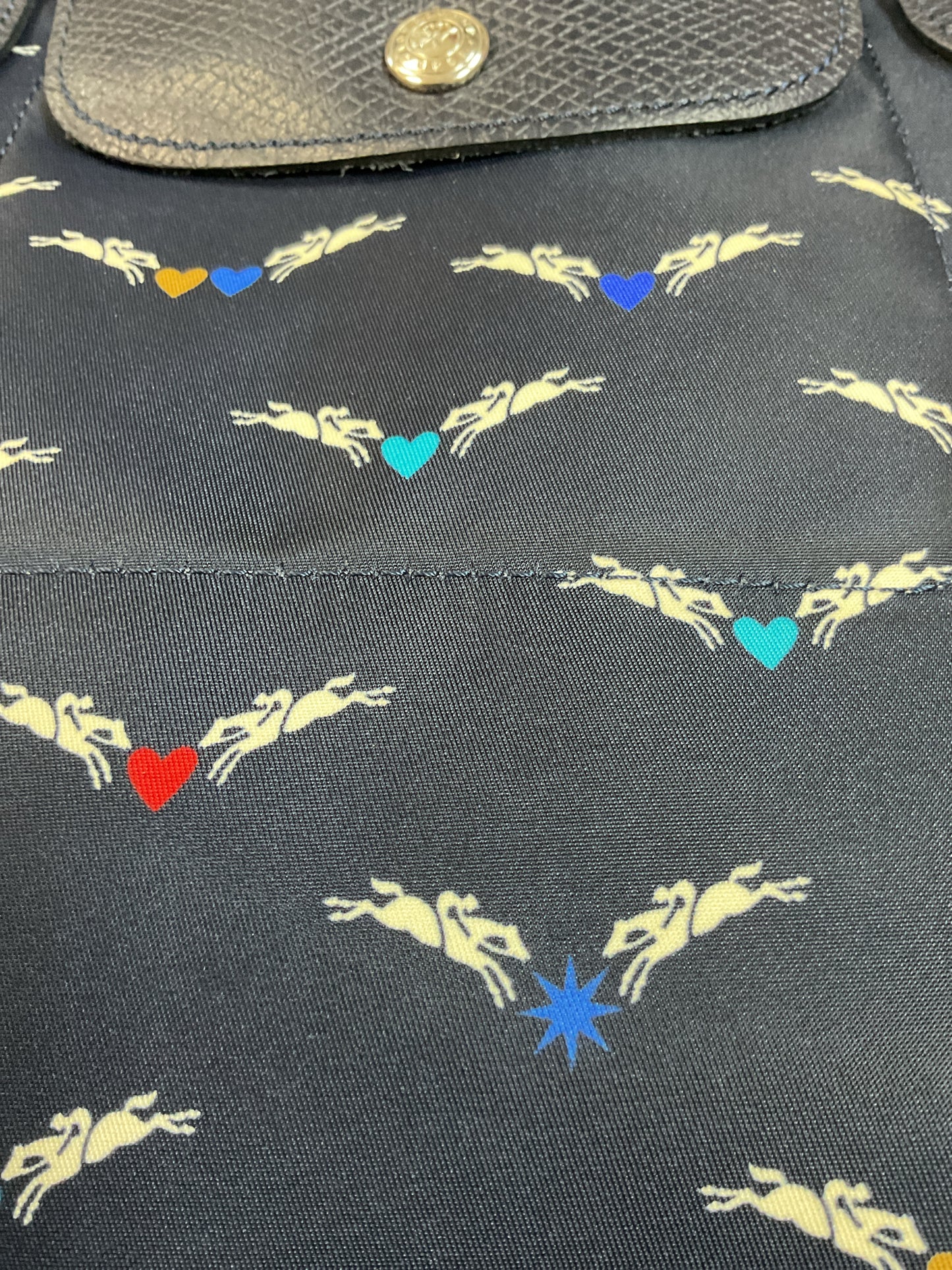 Longchamp Purse