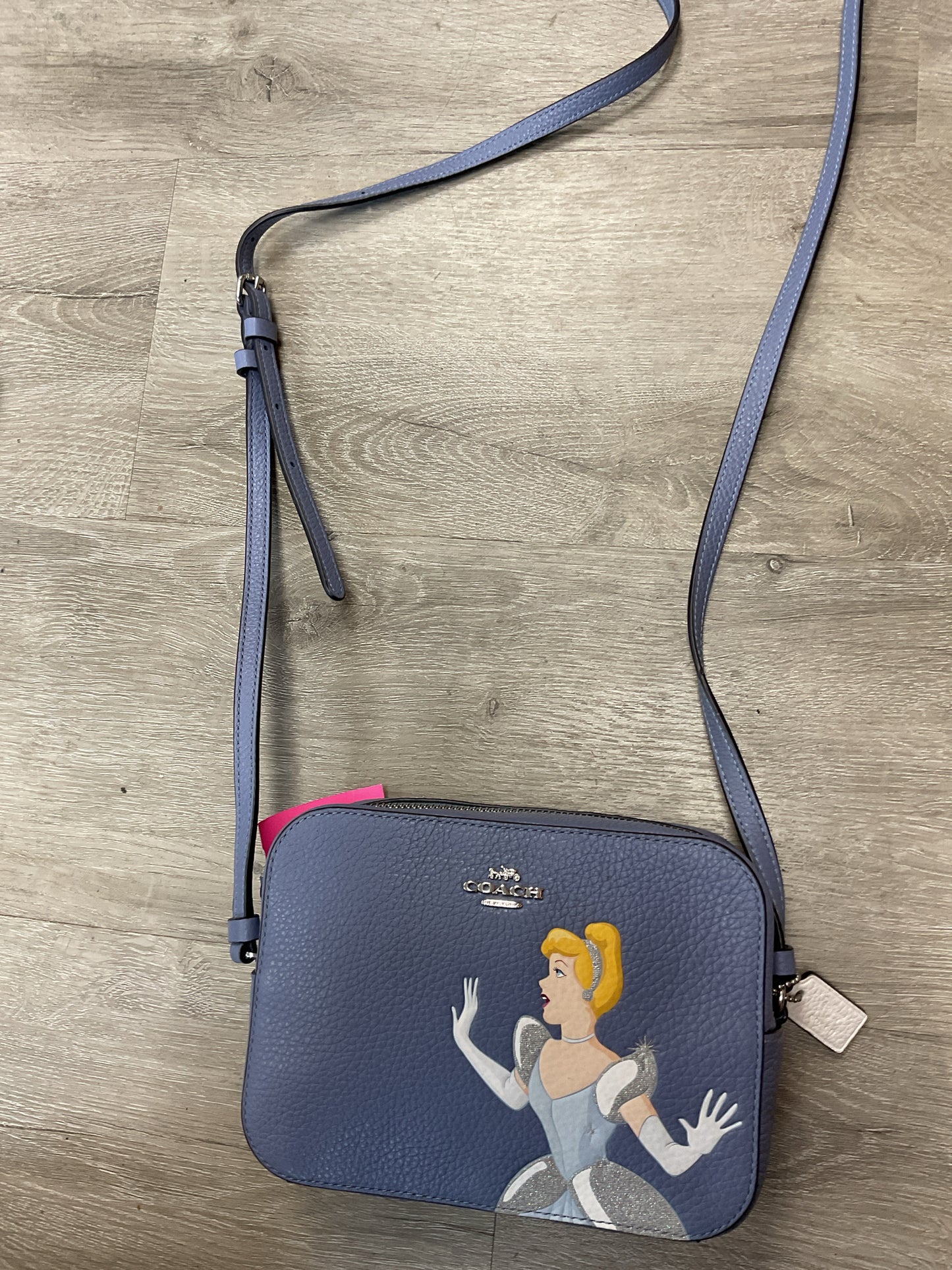 Disney Purse X Cinderella crossbhody mini camera