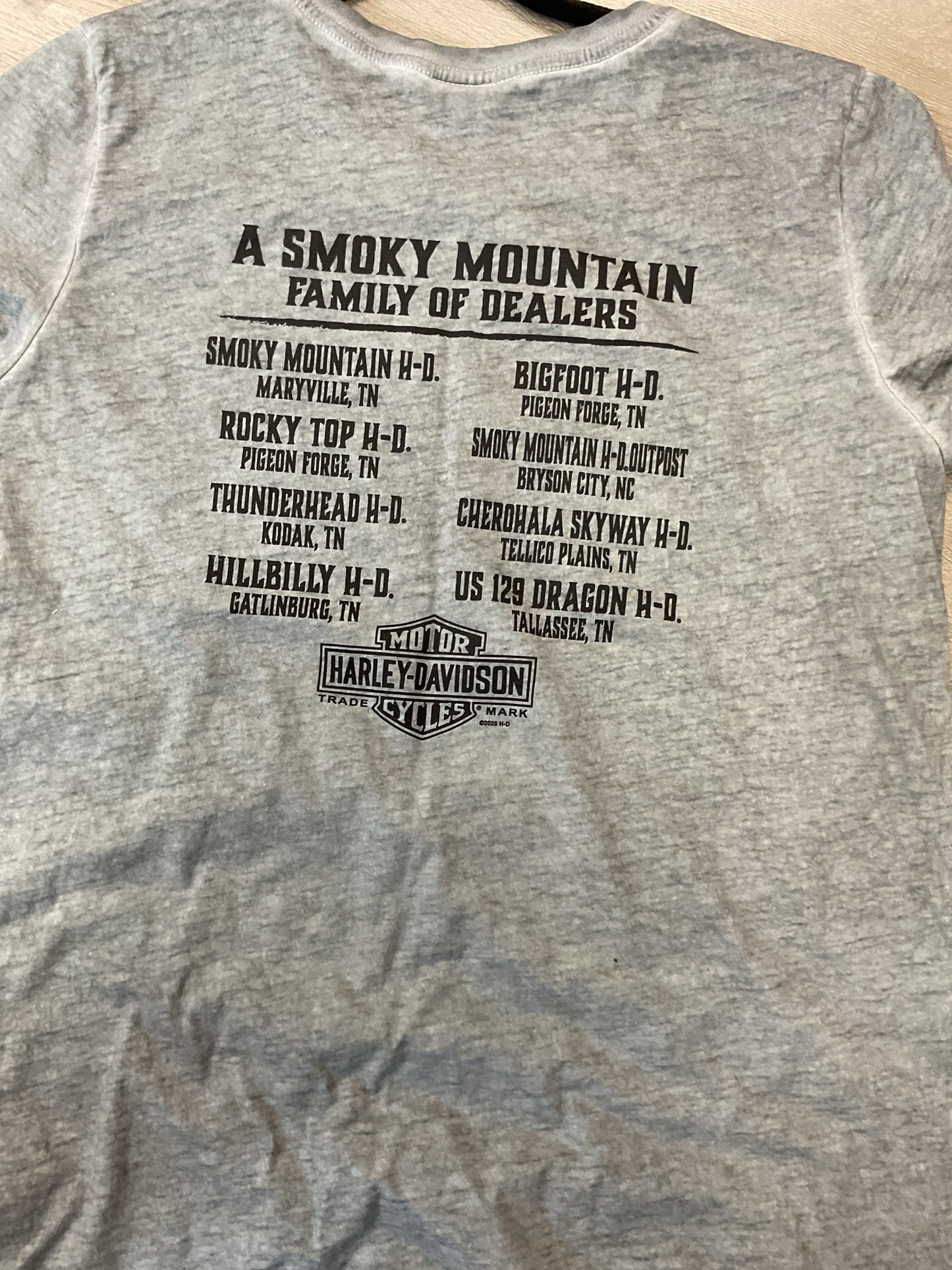 Harley Davidson Size 2X Sage Shirt skull 2004 ladies tee